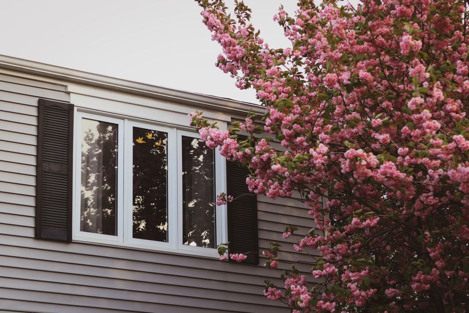 A house exterior with windows set in the wall